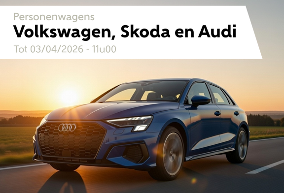 Afbeelding van VW- AUDI - SKODA