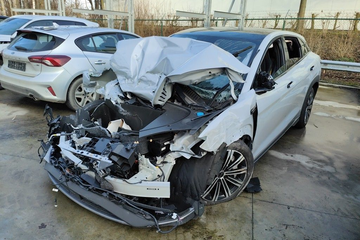 Afbeelding van BYD SEALLION 230 kW