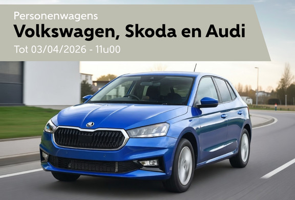 Afbeelding van VW- AUDI - SKODA