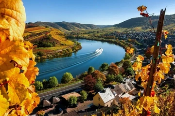 Afbeelding van Ontdek de Smaak van de Moezel: 3-Daags Verwenarrangement in Moselhotel Weiskopf, inclusief ontbijt en wijnproeverij (2 pers.) - geldig tot 2028