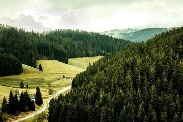 Afbeelding van 4 dagen in het Zwarte Woud, inclusief ontbijt (2 pers.) - Hotel-Landgasthof zur Blume *** - geldig tot 2028
