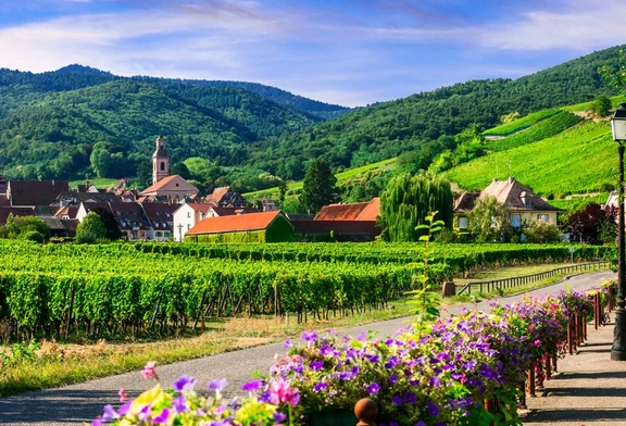 Afbeelding van 3 dagen naar de Franse Elzas (2 pers.) - inclusief ontbijt - Verblijf in Hotel A La Vignette *** in Colmar - geldig tot 2028