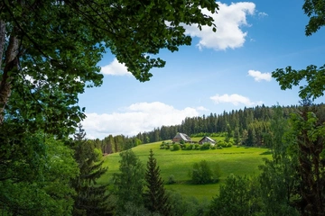 Afbeelding van 6 dagen in het Zwarte Woud, inclusief ontbijt (2 pers.) - Hotel-Landgasthof zur Blume *** - geldig tot 2028