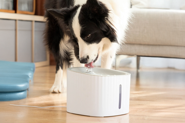 Afbeelding van Drinkatt Drinkfontein voor Huisdieren