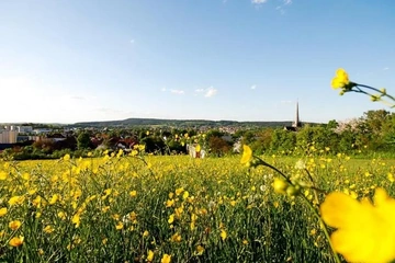 Afbeelding van Ervaar de betovering van Beieren - verblijf 6 dagen in Hotel Gondel***, Altenkunstadt - incl. half pension (2 pers.) - geldig tot 2028