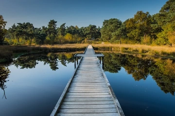Afbeelding van 3-daags verblijf aan de Weser – Sprookjesachtig genieten, incl. ontbijt (2 pers.) - geldig tot 2028