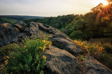 Afbeelding van 6-daags Ontspanningsverblijf in Ferienhotel Forelle – Ontdek de Rust van het Harzgebergte (2 pers.) inclusief half pension - geldig tot 2028