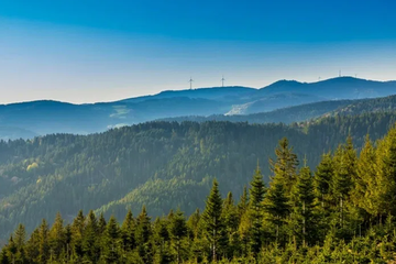 Afbeelding van Ontsnap 2 dagen naar rust en smaak – Verblijf Hotel-Restaurant Hirsch in Kehl-Kork - Inclusief verwenontbijt & 3 gangen diner - geldig tot 2028