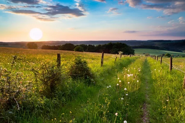 Afbeelding van Ontsnap naar de natuur: 3-daags verblijf met ontbijt in het sfeervolle Wolffhotel in de Eifel, inclusief ontbijt (2 pers.) - geldig tot 2028