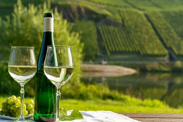 Afbeelding van 6 dagen naar de Franse Elzas (2 pers.) - inclusief ontbijt - Verblijf in Hotel A La Vignette *** in Colmar - geldig tot 2028