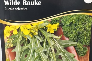 Afbeelding van 3  zakjes zaadjes voor Wilde rucola tht 31-12-2025