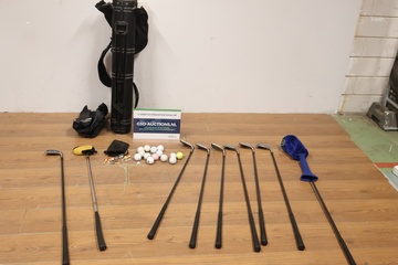 Afbeelding van Collectie Golf-Iron met Tas & Ballen