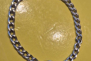 Afbeelding van slipriem voor kleine hond