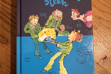 Afbeelding van De Verschrikkelijke Steen  Geschreven door Tosca Menten, met