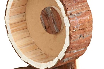 Afbeelding van TRIXIE Natural Living Knaagdieren Looprad - Hout - 20 cm
