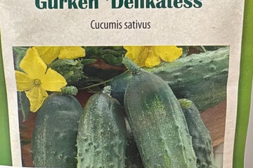 Afbeelding van 3 zakjes zaadjes voor komkommer delikatess tht 31-12-2025