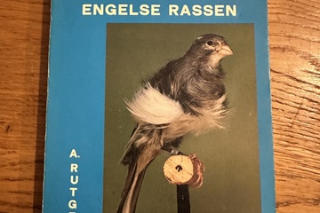 Afbeelding van Postuurkanaries en Engelse Rassen – A. Rutgers    Productoms