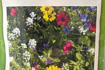 Afbeelding van 2 zakjes zaad mat 60X40 landelijke bloemen  tht 31-12-25