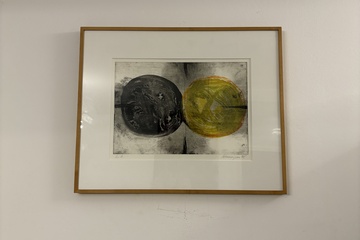 Afbeelding van Zeefdruk gesignaleerd