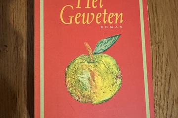 Afbeelding van Het Geweten  Geschreven door Jessica Durlacher    Literaire