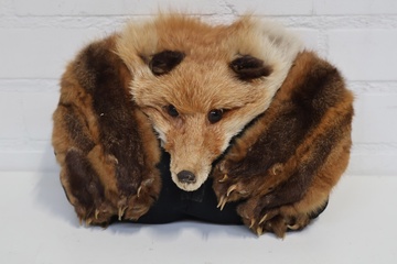 Afbeelding van Vintage Rodevossenstola