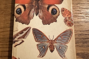 Afbeelding van Vlinders van Europa – Meulenhoff Natuurgidsen    Productomsc