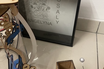 Afbeelding van Lampen kapen doos vol