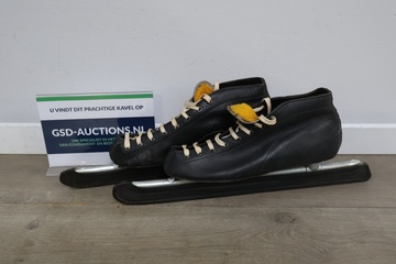 Afbeelding van Noren schaatsen'