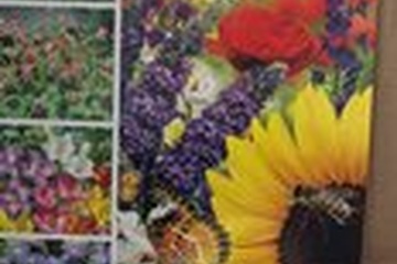 Afbeelding van Bijen & Vlinders Bloemenmix – 101 Bollen & Zaden | Vrienden