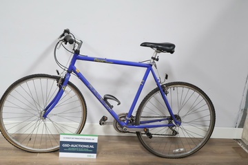 Afbeelding van Raleigh Pioneer Trial Race-Stadfiets