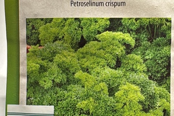 Afbeelding van 3 zakjes zaadjes voor peterselie Mooskrause tht 31-12-2025