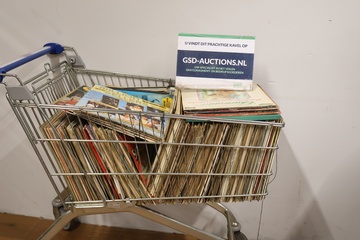 Afbeelding van Grote Collectie Lp's van Allerlei Genres