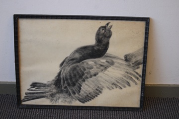 Afbeelding van Ingelijste poster van een korhoen.