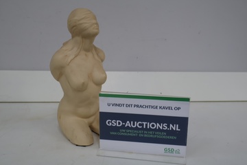 Afbeelding van Beeld van een vrouwelijk naakt torso