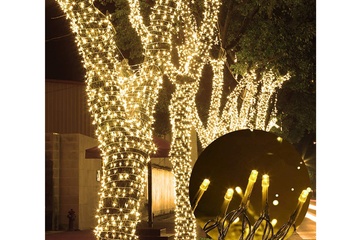 Afbeelding van Led slinger 50 meter - decoratie en kerstverlichting