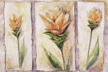 Afbeelding van Rian Withaar - Curuma Cycas - Afm. 50x70 cm