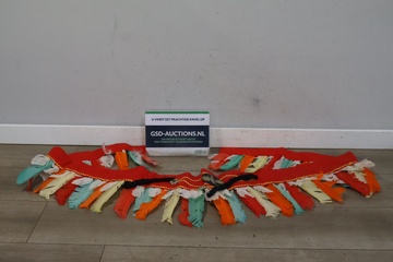 Afbeelding van Kleurrijke Veren Sjerp'