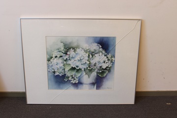 Afbeelding van Aquarel van N. vd Meyden: Witte hortensia's