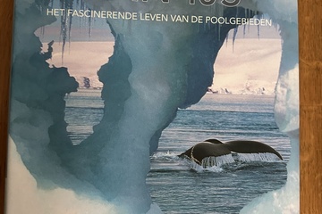 Afbeelding van Wereld van IJs – Het fascinerende leven van de poolgebieden