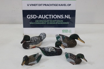 Afbeelding van Set van 5 Decoratieve Eenden