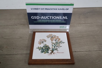 Afbeelding van Vintage Botanica Wandtegel