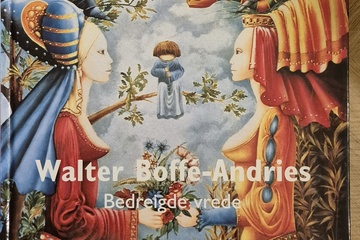 Afbeelding van Walter boffe-andries : bedreigde vrede