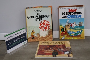 Afbeelding van Verzameling van Diverse Stripboeken