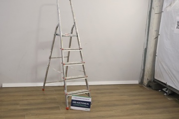 Afbeelding van 5-Treeds Aluminium Schilderladder'