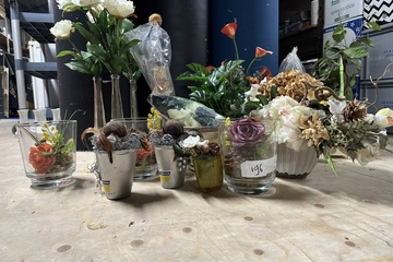 Afbeelding van 196. collectie nepplanten divers