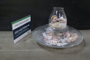 Afbeelding van Glazen schaal gevuld met zeeschelpen