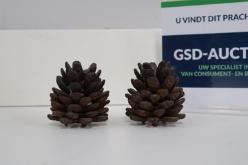 Afbeelding van 2 Gietijzeren Dennenappel-Kandelaars