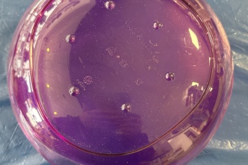 Afbeelding van Tupperware Kunststof Kom – Paars Transparant – Ø 24 cm – Dri