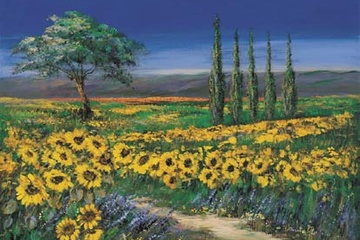 Afbeelding van Anna Paleta, Field of sunflowers, Afm; 60x80 cm