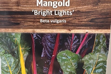 Afbeelding van 3 zakjes zaadjes voor snijbiet bright lights tht 31-12-2025